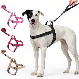 Annchwool No Pull Dog Harness with Front Clip and Easy Control Handle-Belly & Chest Adjustable Dog Harness and Leash Set for Medium Large Dogs-Heavy Duty Vest Harnesses Easy for Walking(Black,M)