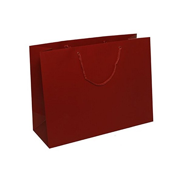 JAM Paper Matte Gift Bags with Rope Handles - 16