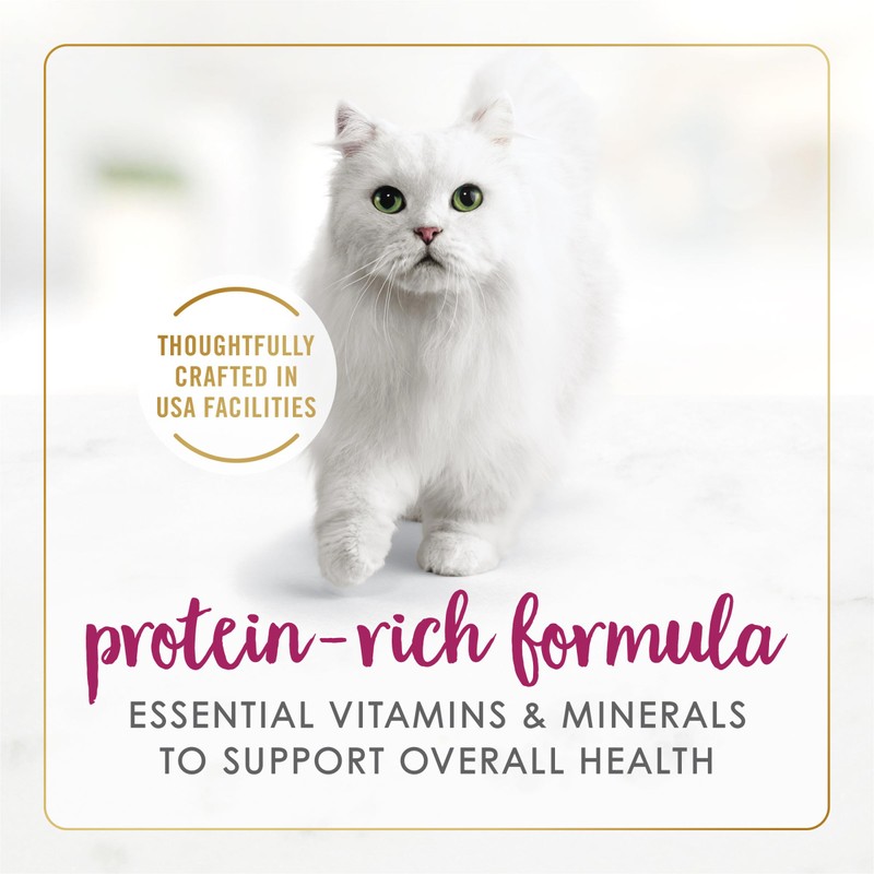 Purina Fancy Feast Delights With Cheddar Grilled Chicken and Cheddar