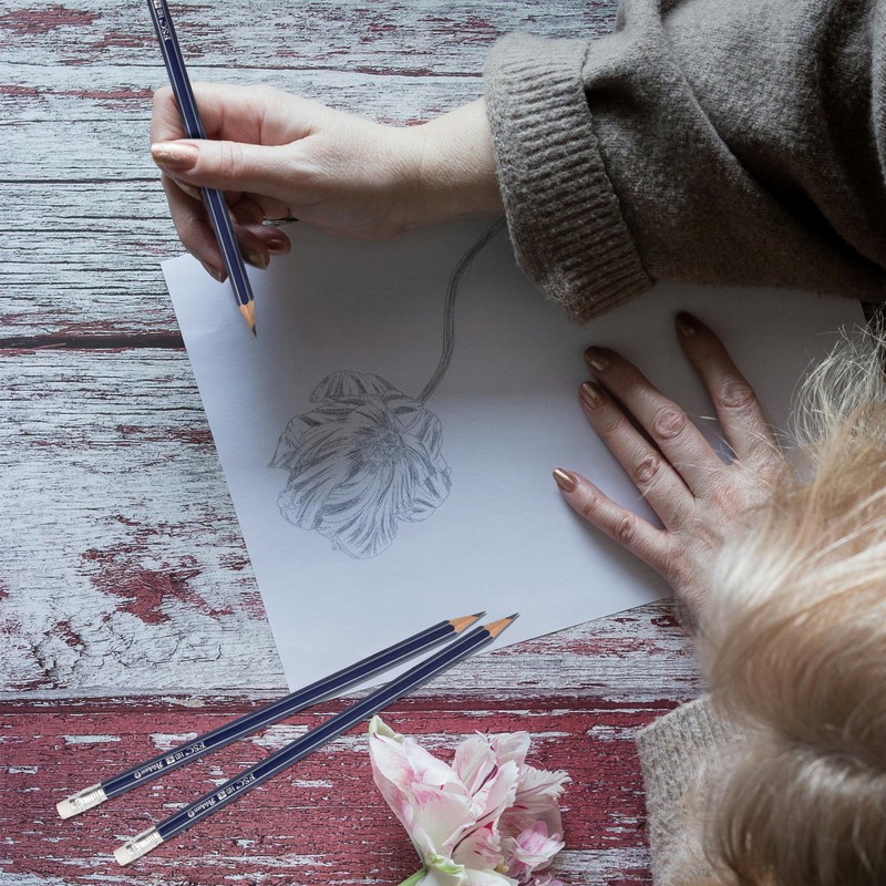 Pelikan Pencil, HB Hardness