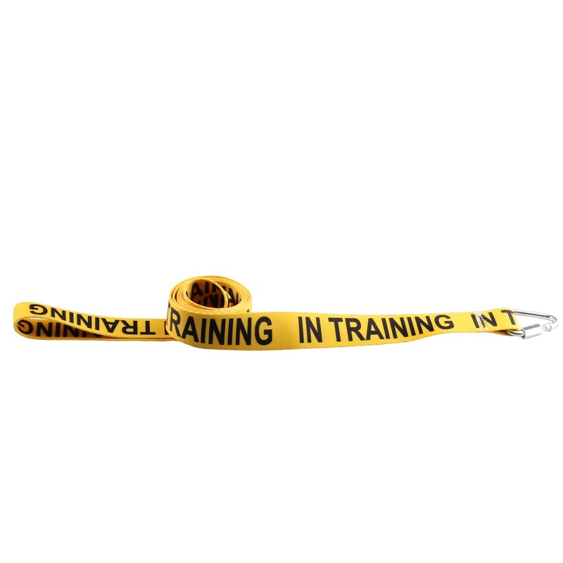 JXGZSO I Need Space/in Training Dog Working Dog Lead Rescue