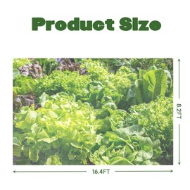 Fasmov 8.2 x 16.4 feet Bug Insect barrier Bird Net Barrier Hunting Blind Garden Netting Planter Mesh for Protect Plants Flowers Fruits Trees