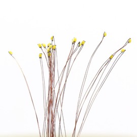 Evemodel C0402B-20-EU Blue SMD LED Model 0402 + Copper Wire 20 cm Pack of 20