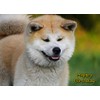 Akita Dog Birthday Card