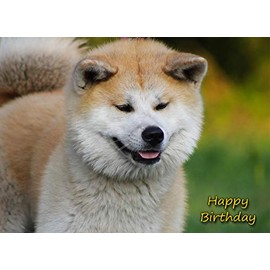 Akita Dog Birthday Card