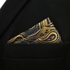 S&W SHLAX&WING Men's Pocket Square Assorted Paisley Suit Jacket, Business