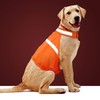 Dog Jacket High Visibility Safety Reflective Dog Vest for Small