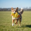 Patito De Peluche Chillón Para Perros Juguete Interactivo M Amarillo