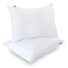 Pillow Protector 100% Viscose Made from Bamboo with Hidden Zipper,
