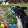 Ancol Viva Reflective Rope And Real Leather Slip Lead 150