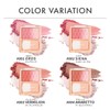 Lebron Blush Duo 004 Amarette (Color Image: Sweet Subdued Almond