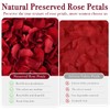 Dried Real Red Rose Flower Petals, 180 PCS (180, Red