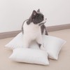 NTBAY Tiny Pillows, Down Alternative 7"x11" Microfiber Mini Pillow for