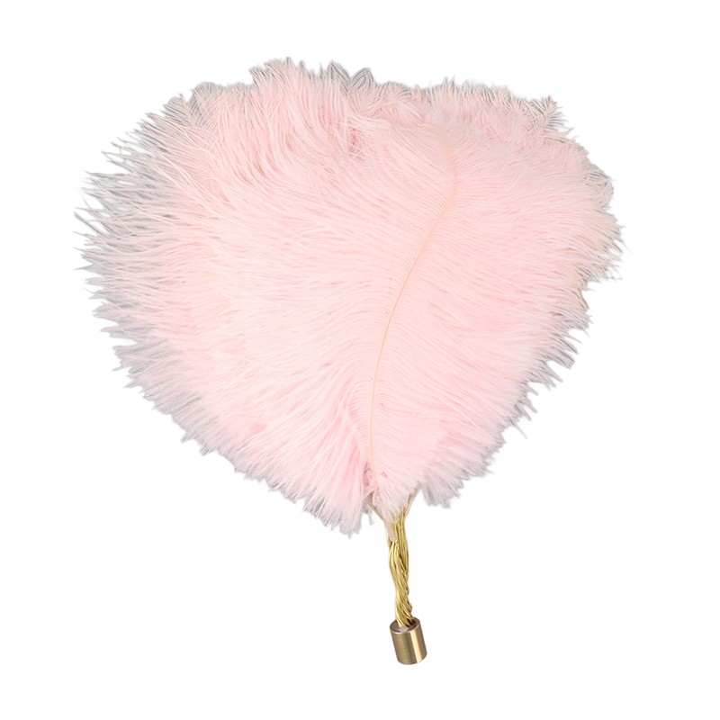 Ostrich Feather Table Lamp Rechargeable Modern Romantic Decoration Lamp Bedroom