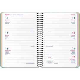 Dohe - Diary 2025 - Week View, Pocket Size (8.5 x 13 cm), 12 Months January to December, Hard Cover and Rubber, Planner in Spanish, 4 Pages of Stickers, Office Supplies - CUTE BEE