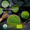 Chaism Organic Ceremonial Grade Matcha Packets - 20 Servings