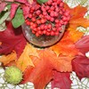 MECCANIXITY 50 Pack Artificial Leaves Fall Leave Cutouts Thanksgiving Day