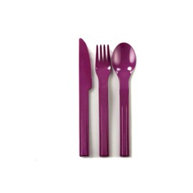 TUPPERWARE To Go Picnic Cutlery for Travelling Purple