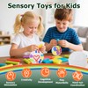 Sensory Activity Ball Sensory Fidget Toys for Kids & Adults