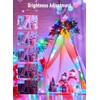 Minetom Christmas Lights Color Changing - 22 Colors 198FT 600