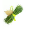 Tin Roof Treasure Fresh Eastern White Pine Needles, 6"x9" Bag