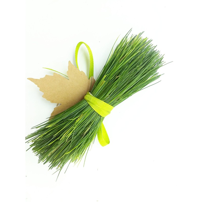 Tin Roof Treasure Fresh Eastern White Pine Needles, 6"x9" Bag