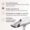 Panasonic Nanoe Salon Hair Dryer with Oscillating QuickDry Nozzle, Blow