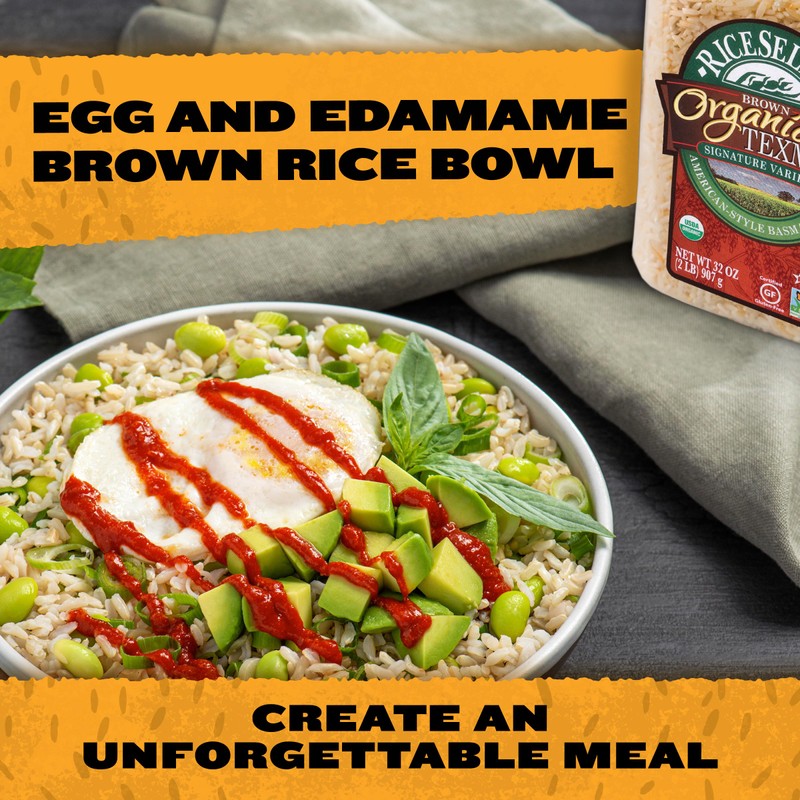 RiceSelect Organic Texmati Brown Basmati Rice, Premium Non-GMO Gluten-Free Long-Grain