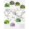 Biojoy Organic Herbal Tea Loose "Schöner Abend" Evening Tea 100
