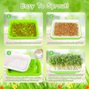 Legigo 5 Pack Seed Sprouter Trays- Soil-Free Cultivation Germination Tray,