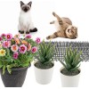 Alfombrilla Para Gatos Con Pinchos 12 Piezas