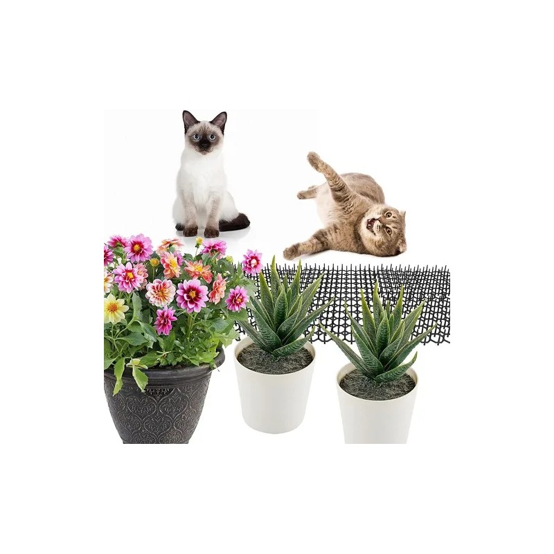 Alfombrilla Para Gatos Con Pinchos 12 Piezas