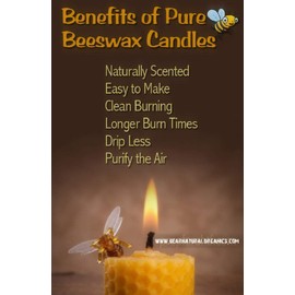 Pure Natural 100% Beeswax Tea Lights 50 Pack Candles