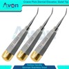 Dental Root Pick Elevator Tool - Crane Pick Dental Elevator