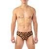 Gary Majdell Sport Men's Bikini Swimsuit with Side Mesh Inserts