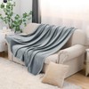 AMBERIS Throw Blanket Grey, Moderately Thick Faux Fur Soft Blanket