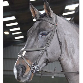 John Whitaker Ready To Ride Mexican Bridle - BR055, Black, Full