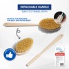 Yerba Prima Tampico Skin Brush (Pack of 2) - Natural