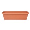 Wooden Trunk with Pot, Real Wood Trunk with Plastic Inner