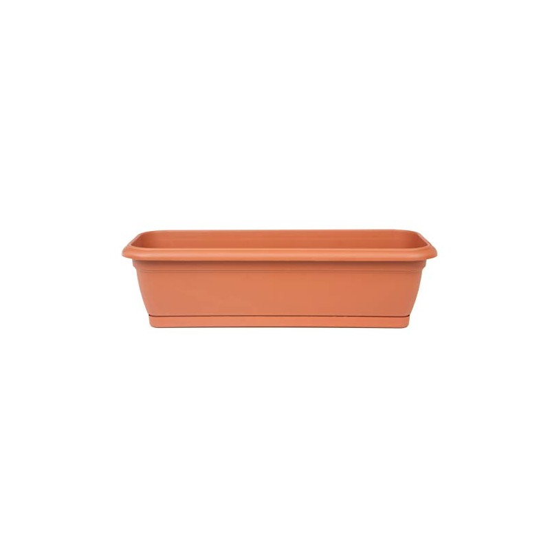 Wooden Trunk with Pot, Real Wood Trunk with Plastic Inner