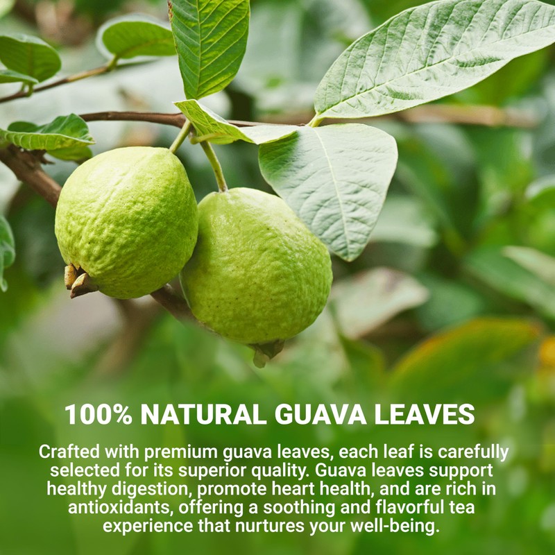 LeafLea Guava Leaf Tea, 80 Fresh-Sealed Tea Bags, Herbal Tea