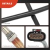 Frankberg Diagnostic Probe Compatible with C-Max II DXA/CB7 DXA/CEU 1.5L