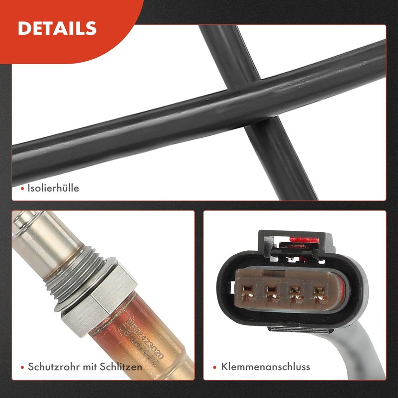 Frankberg Diagnostic Probe Compatible with C-Max II DXA/CB7 DXA/CEU 1.5L