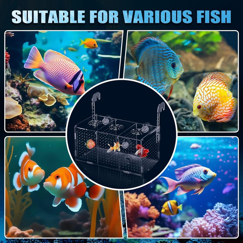 Fish Breeding Box, Acrylic Fish Isolation Box,Fish Separator for Aquarium,