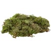 Glorex Iceland Moss, 50 G, Dark Green 7610877290294