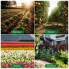 UCINNOVATE Garden Sprinkler, 360°Rotation Lawn Sprinklers, Garden Above Ground Sprinkler