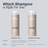 Paul Mitchell Shampoo One, Champú, Limpia + Equilibra la Hidratación,