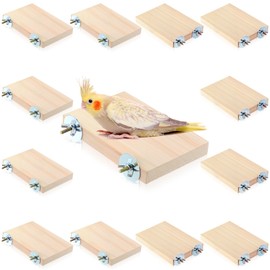 Reginary 12 Pcs Wood Bird Platform Rectangle Wood Perch Stand Board Habitat Cage Corner Shelf with Washers Bird Paw Grinding Clean Accessories for Pet Budgie Parrot Cockatiels