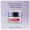 L'Oréal Paris, Day Cream, Plumping And Anti-Wrinkles, Revitalift Filler, 50ml