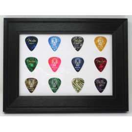 Guitar Pick Wall Display Picture Frame for 12 Picks (Not Included) Made in USA
